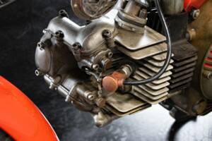 Immagine 44/50 di Aermacchi Ala Verde (1964)