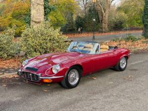Image 38/50 de Jaguar Type E V12 (1973)