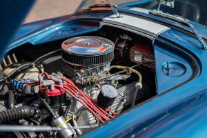 Immagine 12/44 di Everett-Morrison Shelby Cobra (1968)