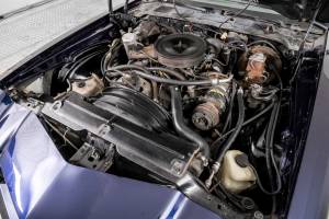 Image 44/50 of Chevrolet Camaro (1979)