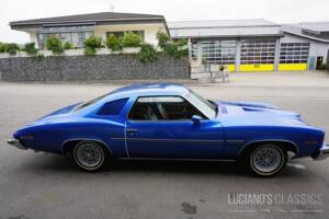 Afbeelding 10/58 van Pontiac GTO (1973)
