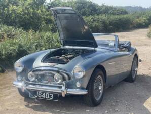 Bild 4/12 von Austin-Healey 3000 Mk III (BJ8) (1964)