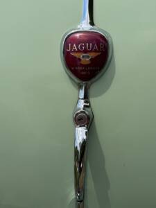 Image 6/23 of Jaguar XK 140 SE DHC (1955)