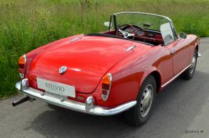 Bild 9/21 von Alfa Romeo Giulia 1600 Spider (1964)