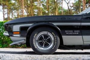 Immagine 13/48 di Ford Mustang Boss 351 (1970)