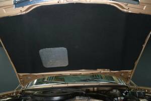 Bild 48/49 von Mercedes-Benz 250 lang (1985)