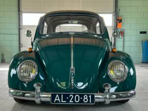 Bild 17/20 von Volkswagen Käfer 1200 Standard "Dickholmer" (1964)