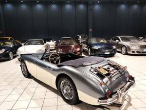 Imagen 8/72 de Austin-Healey 100/6 (BN4) (1957)