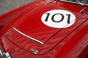 Bild 36/50 von Alfa Romeo Giulia 1600 Spider Veloce (1965)