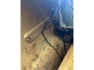 Image 30/36 of Ford Mustang 200 (1968)