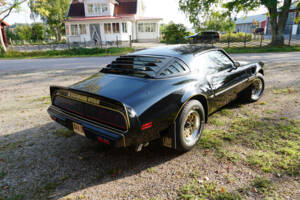 Afbeelding 13/69 van Pontiac Firebird TransAm (1979)