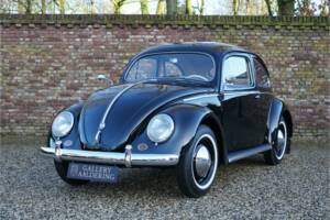 Image 1/50 of Volkswagen Beetle 1200 Standard "Oval" (1955)