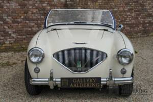 Immagine 43/50 di Austin-Healey 100/4 (BN1) (1954)