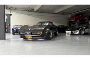 Bild 14/14 von Chevrolet Corvette Sting Ray (1981)