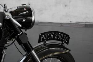 Image 16/20 of Puch 250 SG (1955)