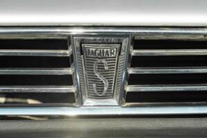 Afbeelding 8/42 van Jaguar XJ-S 3.6 (1990)