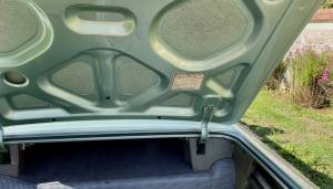 Image 29/50 of Buick Electra 225 Convertible (1962)