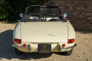 Bild 40/50 von Alfa Romeo 1600 Spider Duetto (1967)
