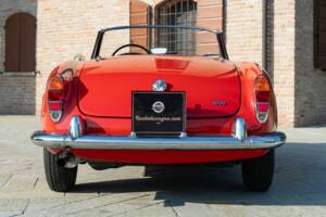 Image 13/50 of Alfa Romeo Giulia 1600 Spider (1964)