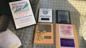 Image 34/36 of Ford Mustang 289 GTA (1967)