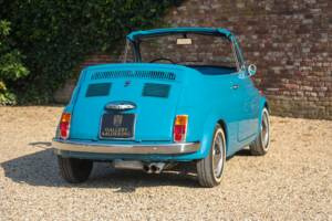 Bild 39/50 von FIAT 500 Moretti Minimaxi (1973)
