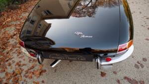 Image 13/51 of Alfa Romeo 1600 Spider Duetto (1966)