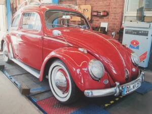 Bild 3/16 von Volkswagen Käfer 1200 Export "Dickholmer" (1963)