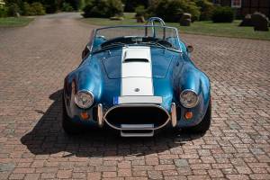 Immagine 9/44 di Everett-Morrison Shelby Cobra (1968)