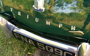 Image 41/50 of Triumph TR 4 (1965)