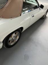 Image 8/13 of Jaguar XJS 5.3 V12 (1994)