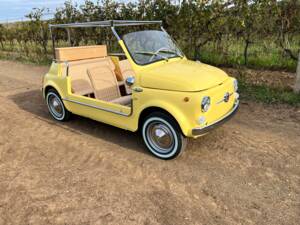 Bild 3/80 von FIAT Ghia 500 Jolly (1972)