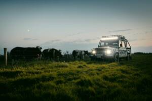 Bild 27/42 von Land Rover Defender Works V8 Trophy (2012)