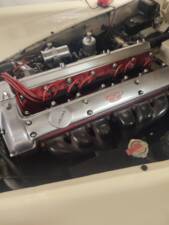 Immagine 70/74 di Jaguar XK 140 SE DHC (1955)