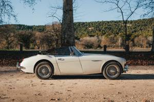 Bild 14/44 von Austin-Healey 3000 Mk III (BJ8) (1966)