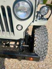 Obraz 13/20 pojazdu Willys CJ-3B (1956)