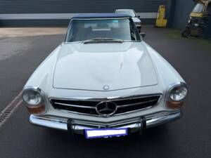 Image 2/19 of Mercedes-Benz 280 SL (1971)