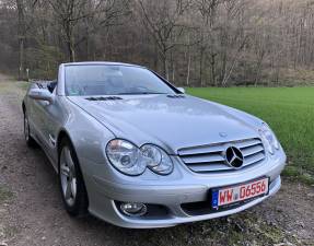 Bild 3/18 von Mercedes-Benz SL 350 (2008)