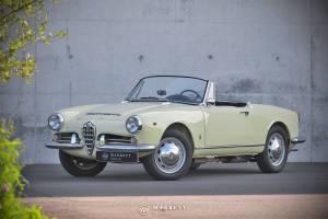 Image 7/49 of Alfa Romeo Giulia 1600 Spider (1964)