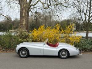 Image 26/50 of Jaguar XK 120 OTS (1953)