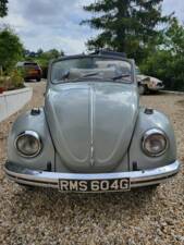 Afbeelding 3/8 van Volkswagen Kever 1500 (1969)