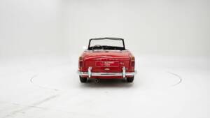 Immagine 7/15 di Triumph TR 4 (1963)