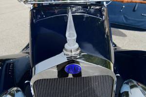 Bild 48/50 von Delage D6-70 Figoni &amp; Falaschi (1936)