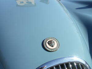 Bild 26/54 von Jaguar XK 120 SE OTS (1953)