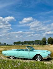 Bild 6/47 von Ford Thunderbird (1962)