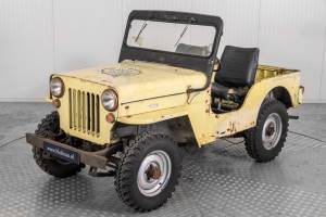 Bild 7/50 von Willys CJ-3B (1955)