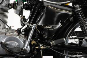 Bild 15/50 von Ducati 450 Scrambler (1969)