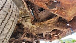 Bild 48/50 von Volkswagen T1 Kombi (1957)