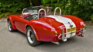 Image 10/50 de AC Cobra 289 (2000)