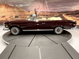 Image 7/36 de Mercedes-Benz 280 SE 3,5 (1971)