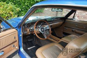 Bild 7/50 von Ford Shelby GT 500-KR (1968)